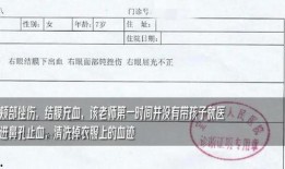 陕西学生爆料事件最新,揭开校园安全与教育监管的隐忧